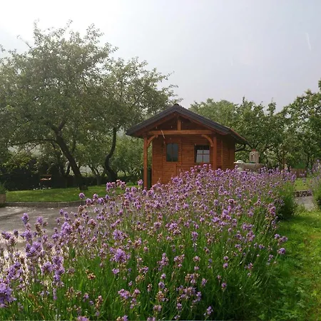 Lapanja 2 Mit Gemeinschaftsgarten By Interhome