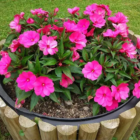 Apartmán Lapanja 2 Mit Gemeinschaftsgarten By Interhome *