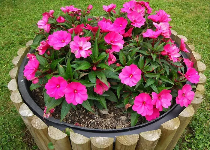 Appartamento Lapanja 2 Mit Gemeinschaftsgarten By Interhome *